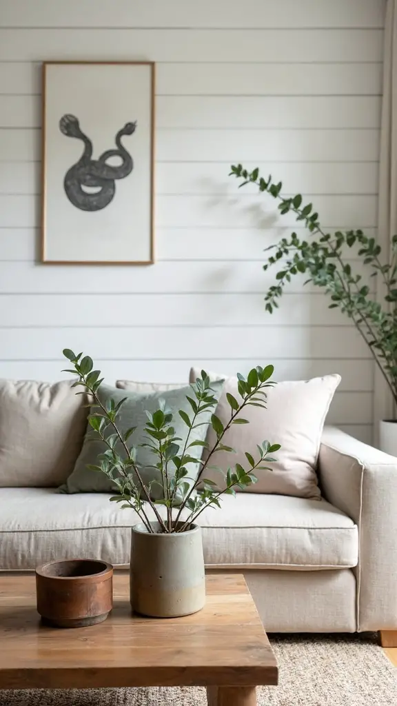 minimalist greenery enhances living spaces
