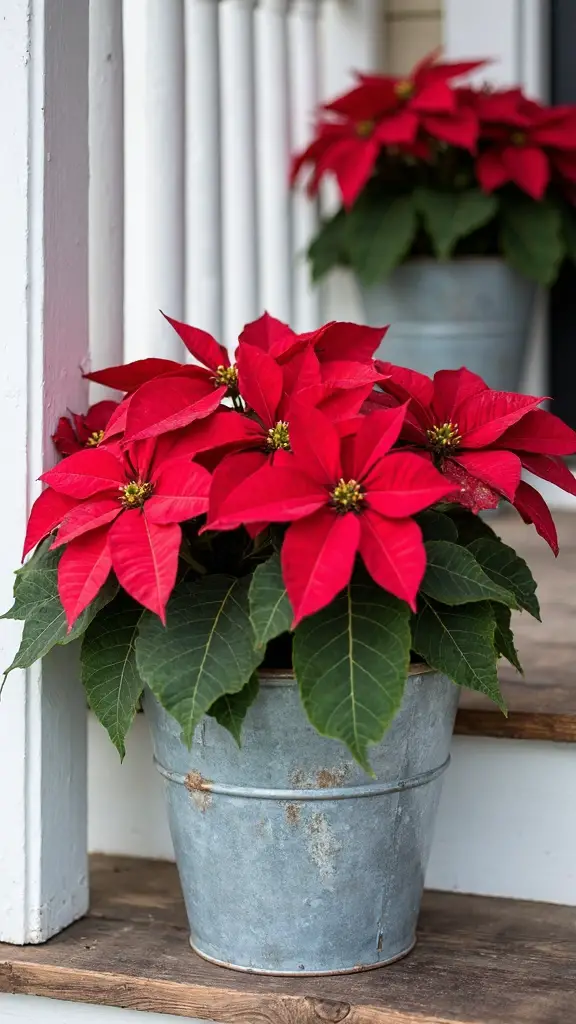 rustic farmhouse christmas d cor charm