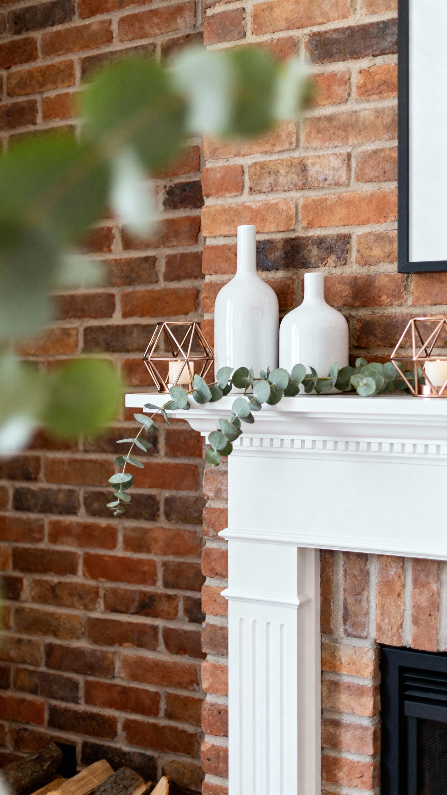 curated cozy minimalist contemporary