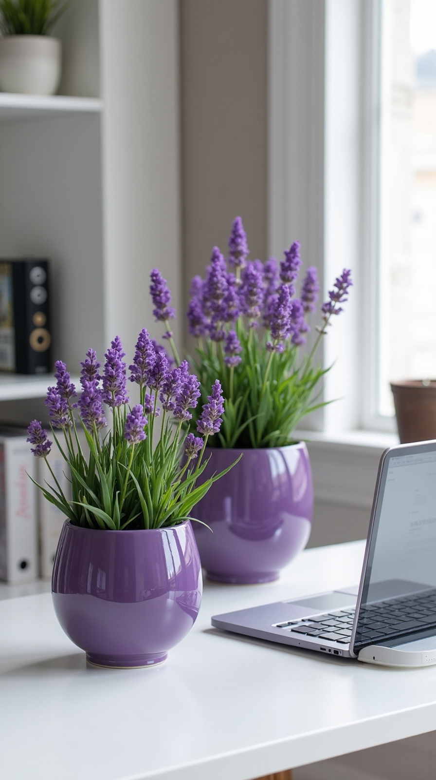 lavender purifies air relaxes mind