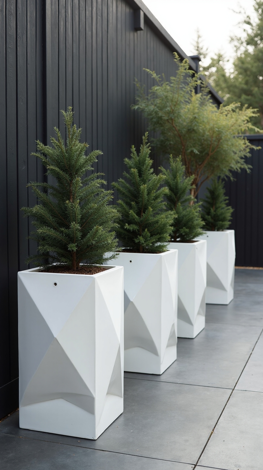 minimalist contrasting geometric elegant