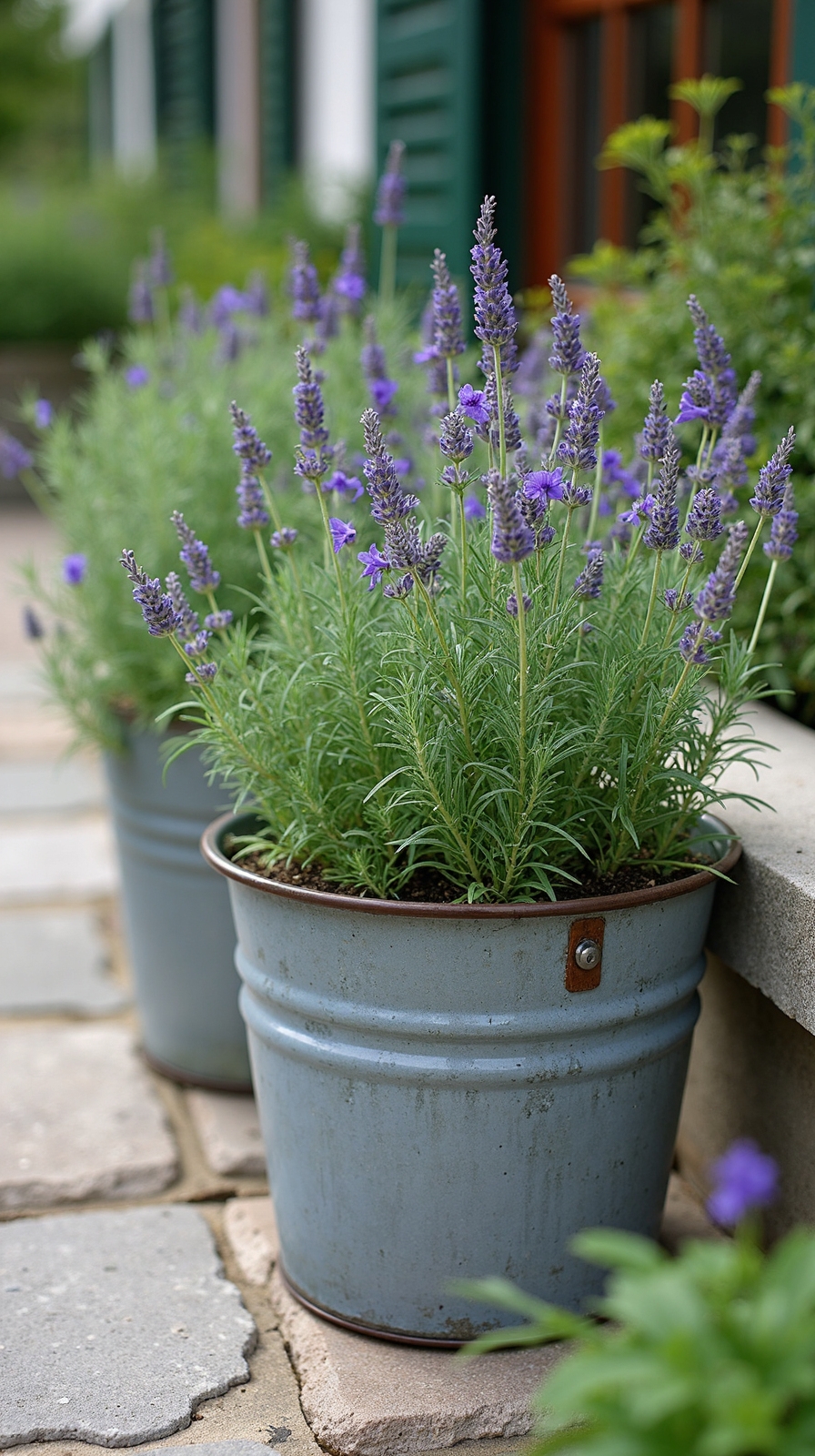 rustic french herb garden containers