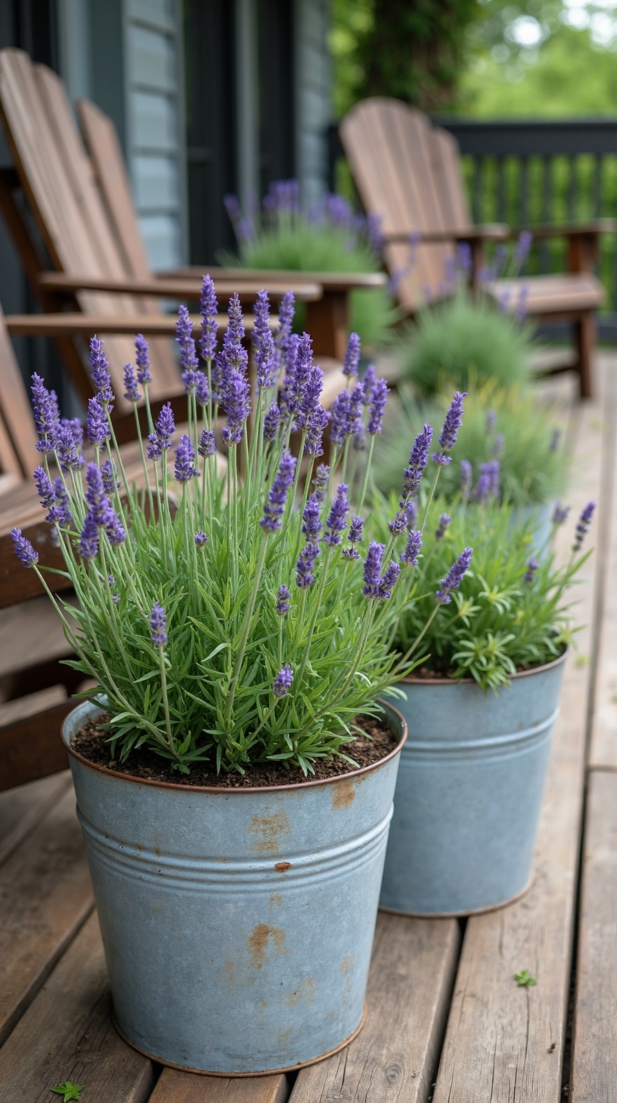 rustic industrial farmhouse gardening accessories