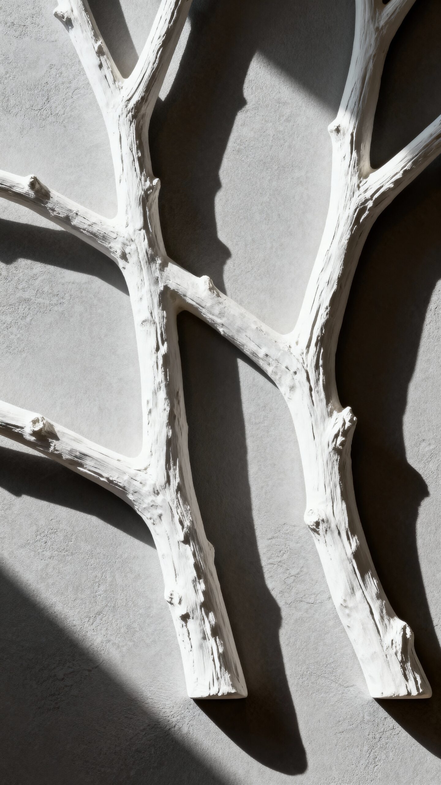 winter wonderland accent walls