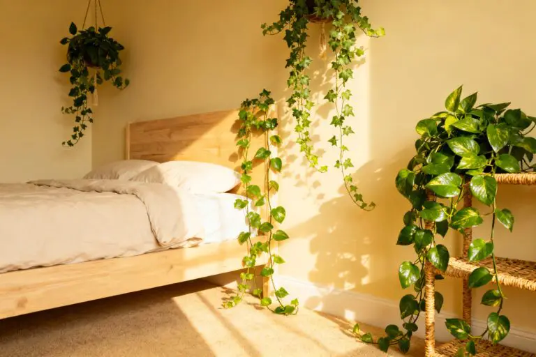 How To Hang Vines In Bedroom